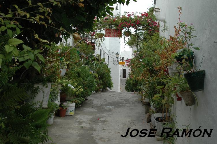 Foto de Vejer de la Frontera (Cádiz), España