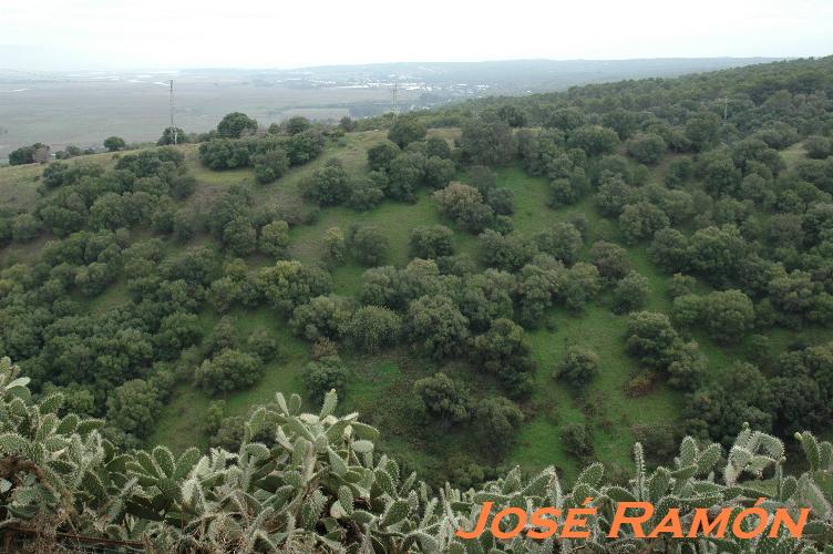 Foto de Vejer de la Frontera (Cádiz), España