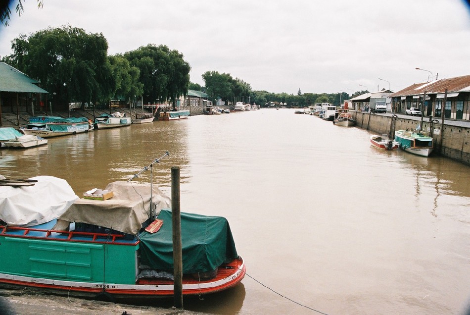 Foto de Tigre, Argentina