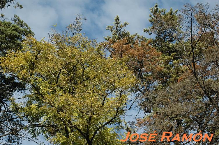 Foto de Jerez  de la Frontera (Cádiz), España