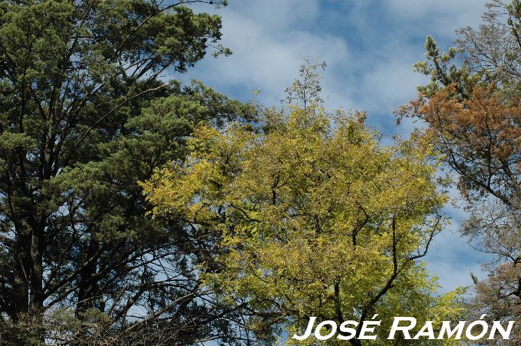 Foto de Jerez  de la Frontera (Cádiz), España