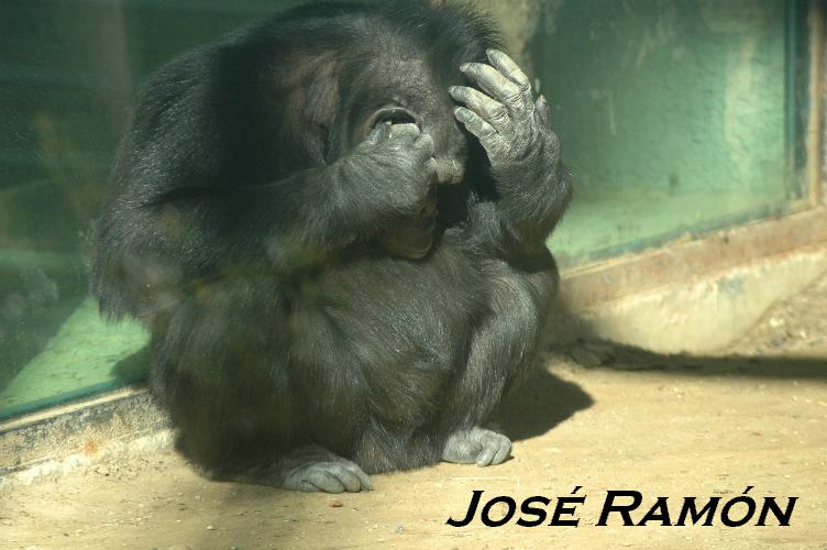 Foto de Jerez  de la Frontera (Cádiz), España