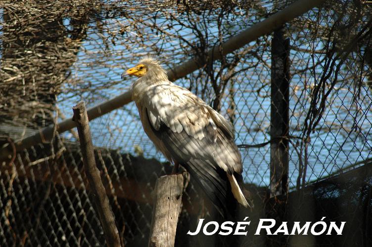 Foto de Jerez  de la Frontera (Cádiz), España