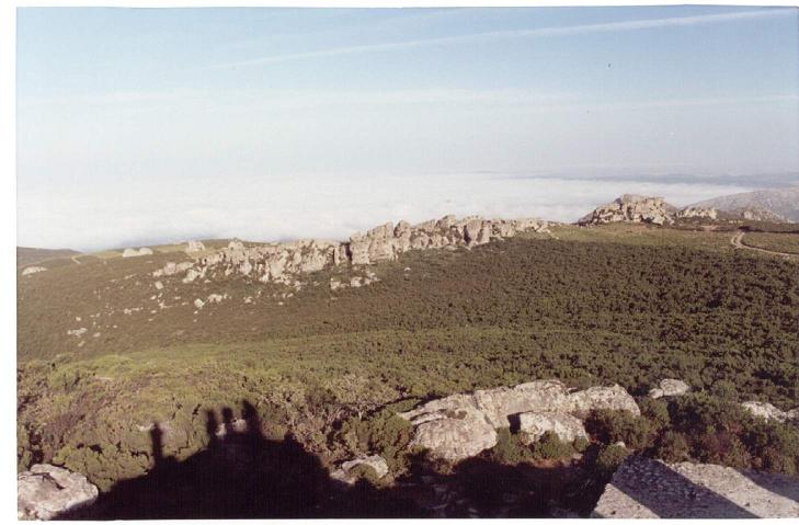 Foto de Cádiz (Andalucía), España