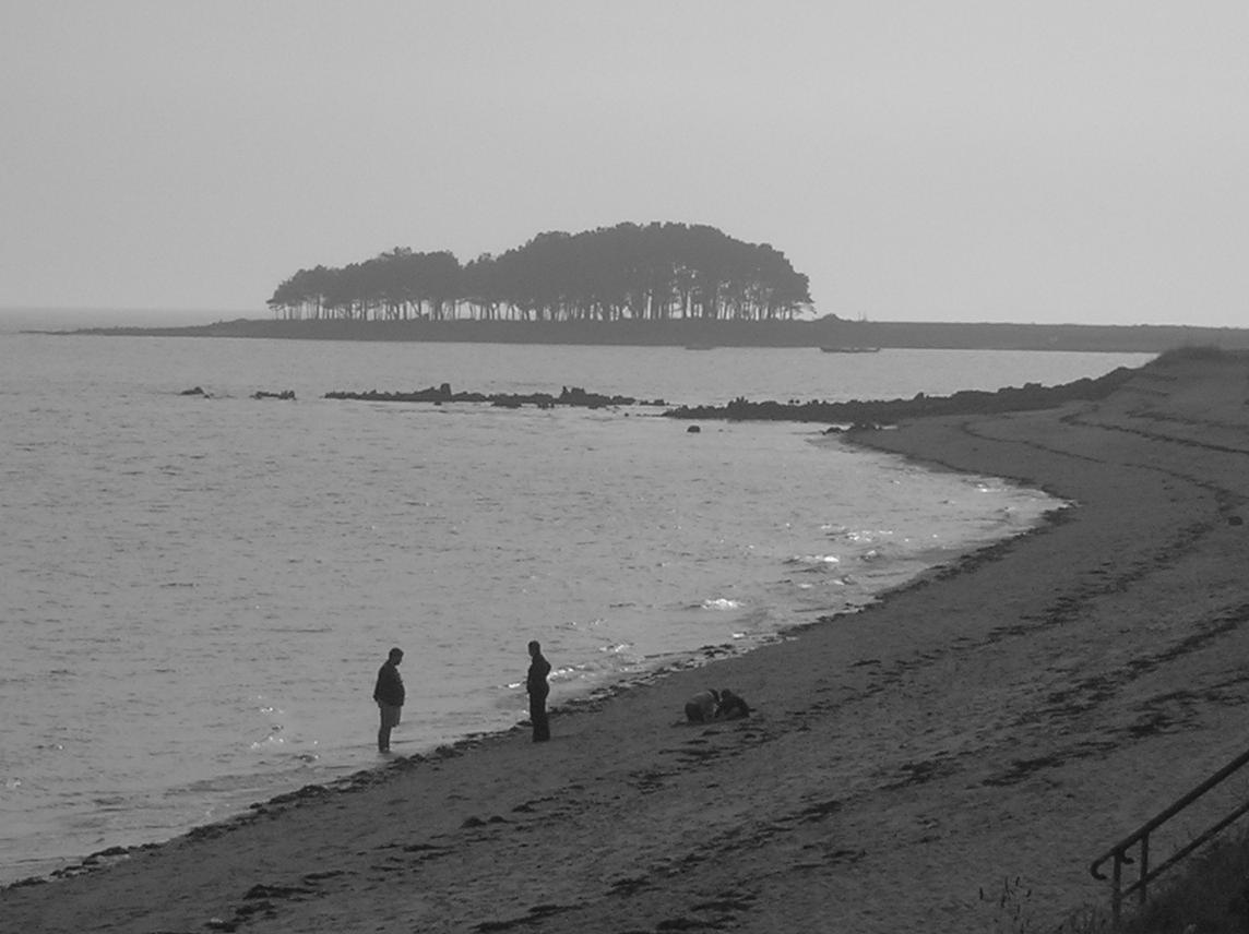 Foto de Locmariaquer, Francia