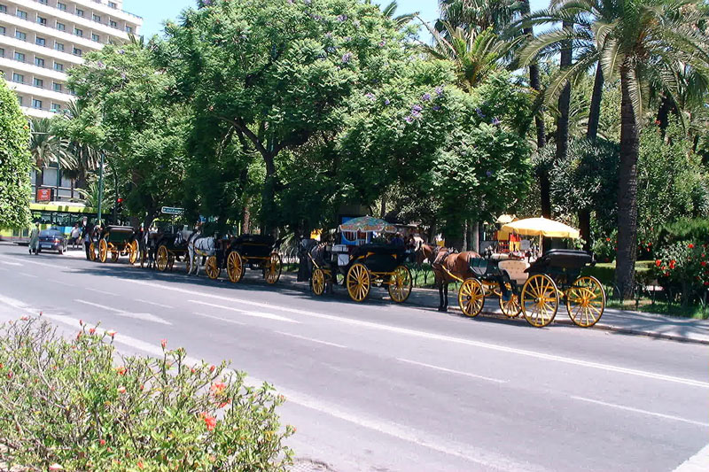 Foto de Málaga (Andalucía), España