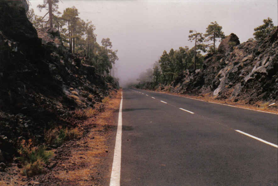 Foto de Tenerife (Santa Cruz de Tenerife), España