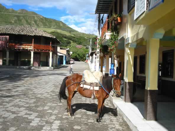 Foto de Vilcabamba  Loja, Ecuador