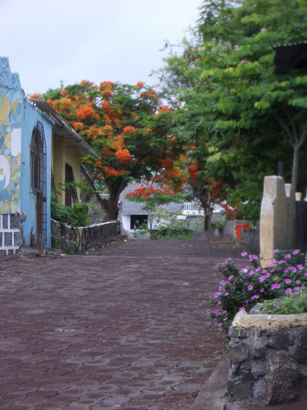 Foto de Galapagos, Ecuador