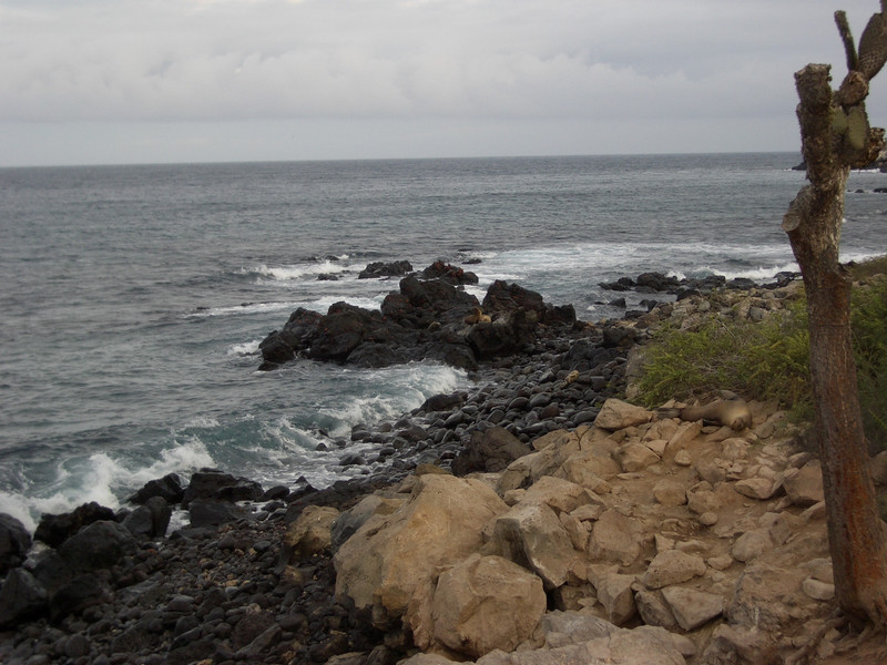 Foto de Galapagos, Ecuador