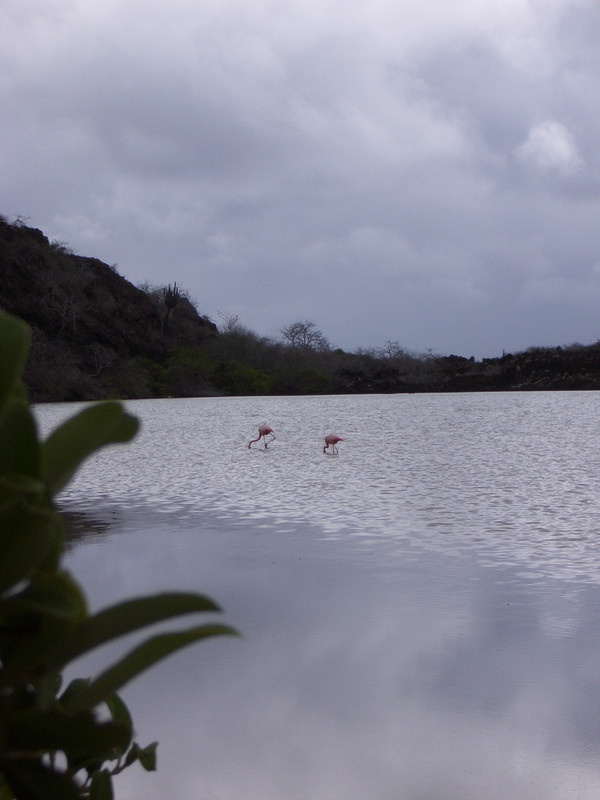 Foto de Galapagos, Ecuador