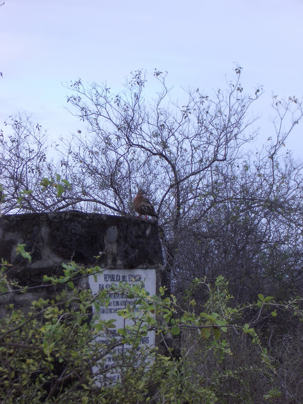 Foto de Galapagos, Ecuador