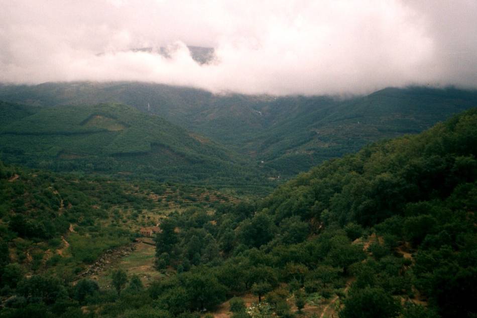 Foto de Jerte (Cáceres), España