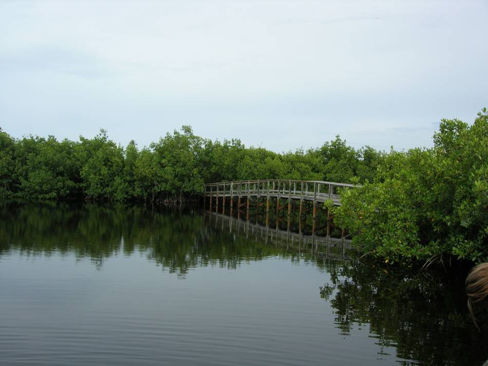 Foto de Fajardo, Puerto Rico