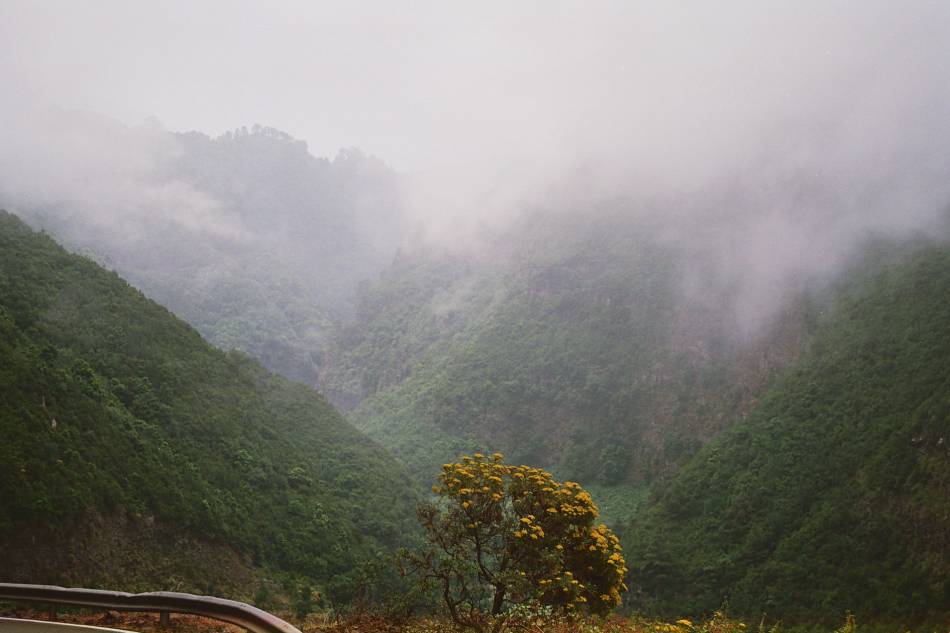 Foto de La Palma (Santa Cruz de Tenerife), España