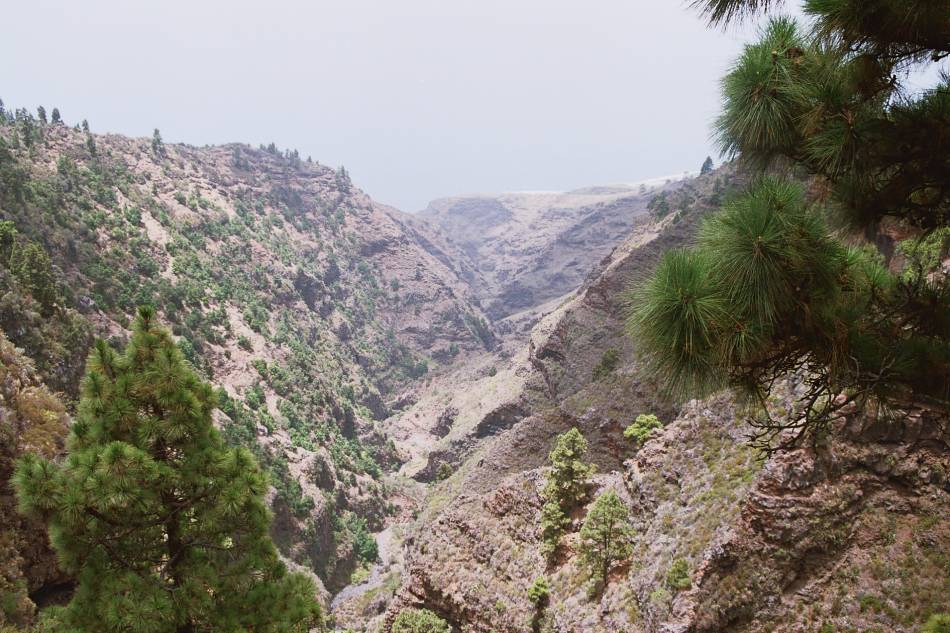 Foto de La Palma (Santa Cruz de Tenerife), España