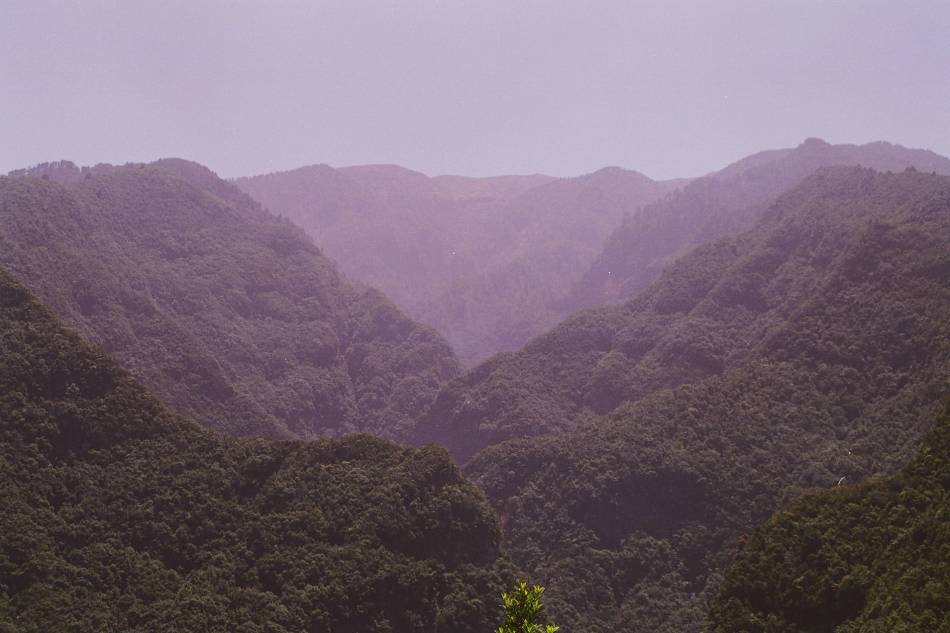 Foto de La Palma (Santa Cruz de Tenerife), España
