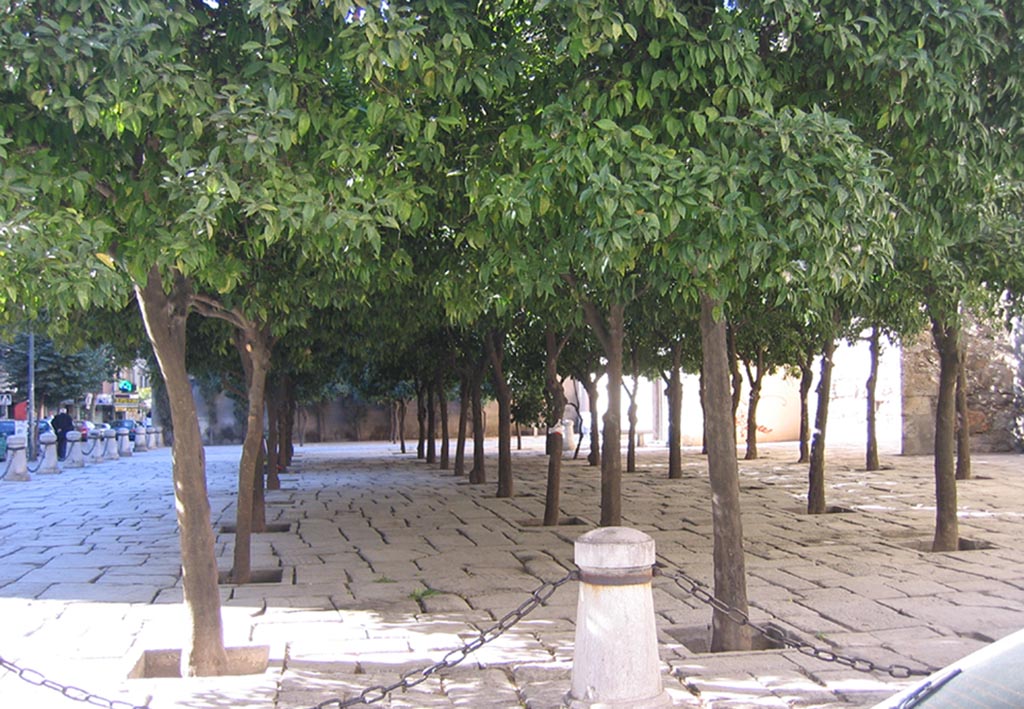 Foto de Granada (Andalucía), España