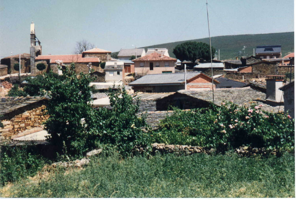 Foto de Zamora (Castilla y León), España