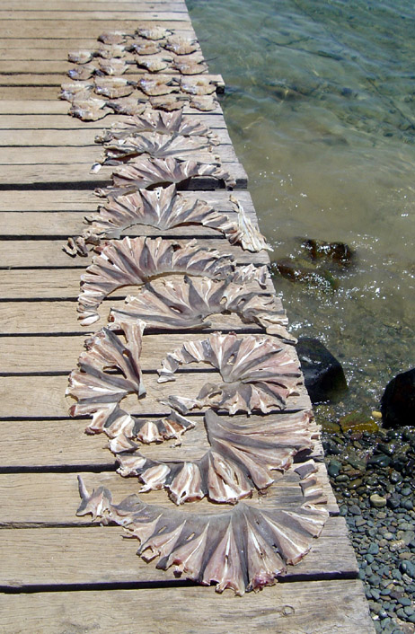 Foto de Isla de Los Frailes - Frente a Margarita, Venezuela