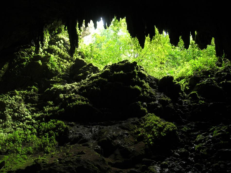 Foto de Arecibo, Puerto Rico
