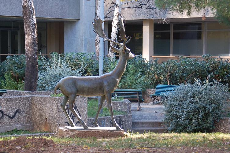 Foto de Barcelona (Cataluña), España