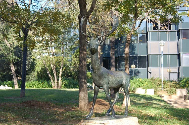 Foto de Barcelona (Cataluña), España