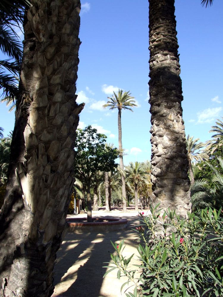 Foto de Elche (Alicante), España