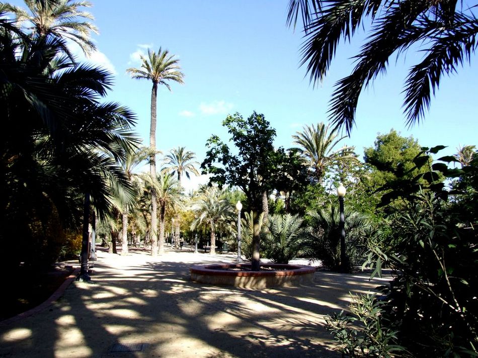 Foto de Elche (Alicante), España