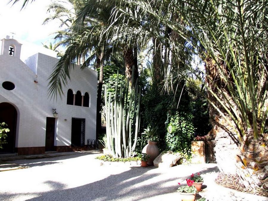 Foto de Elche (Alicante), España