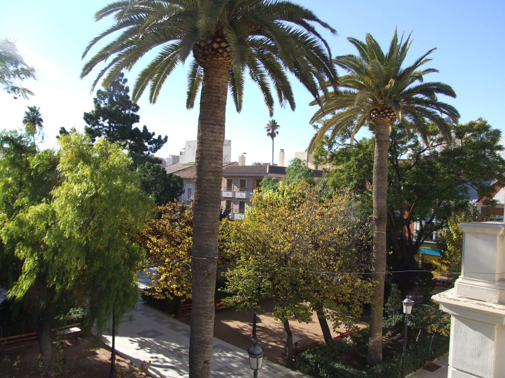 Foto de Novelda (Alicante), España