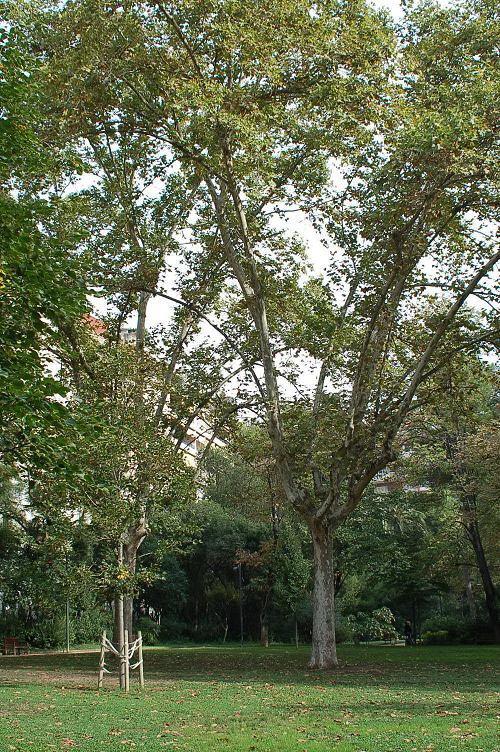 Foto de Barcelona (Cataluña), España