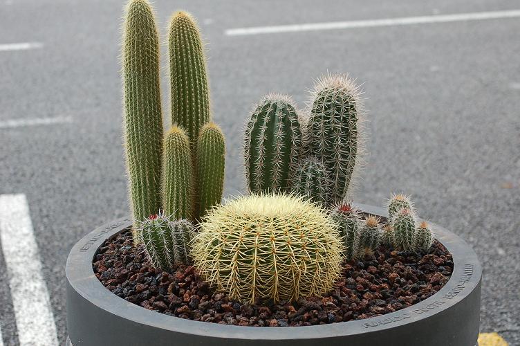 Foto de Barcelona (Cataluña), España