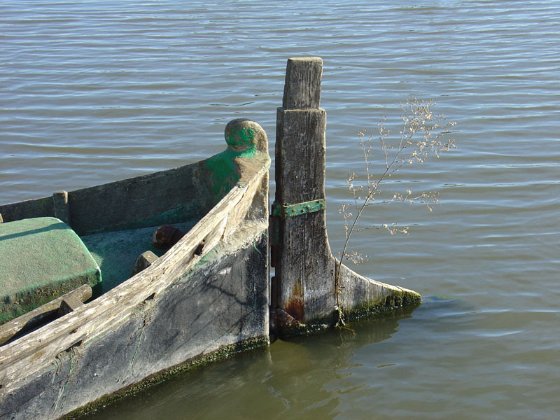 Foto de Valencia (València), España