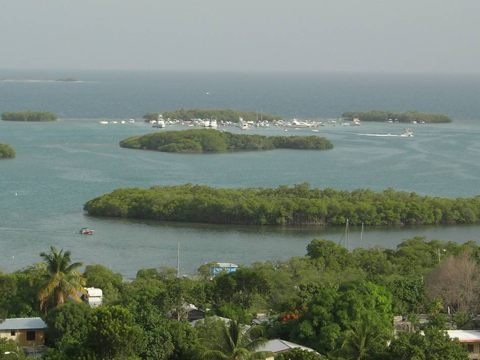 Foto de La Parguera, Puerto Rico