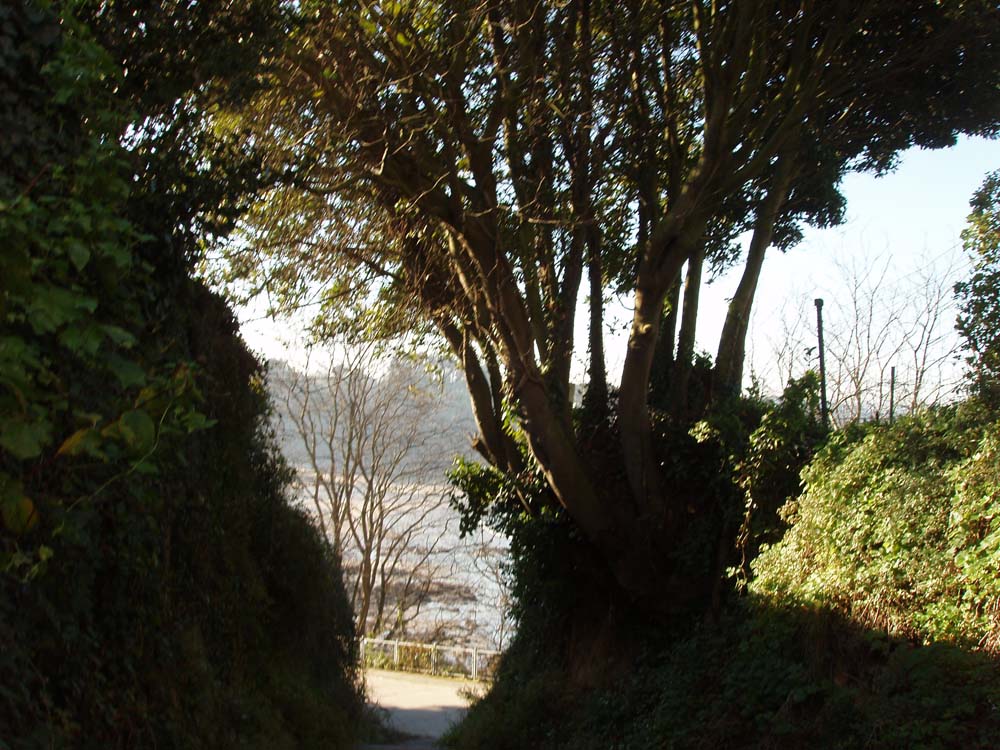 Foto de Santa Cruz - Oleiros (A Coruña), España