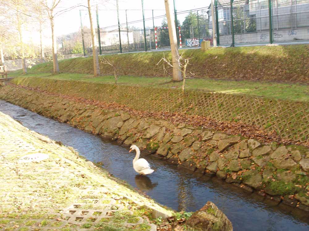 Foto de Santa Cruz - Oleiros (A Coruña), España