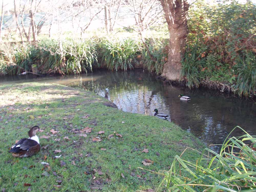 Foto de Santa Cruz - Oleiros (A Coruña), España