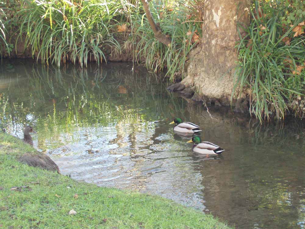 Foto de Santa Cruz - Oleiros (A Coruña), España
