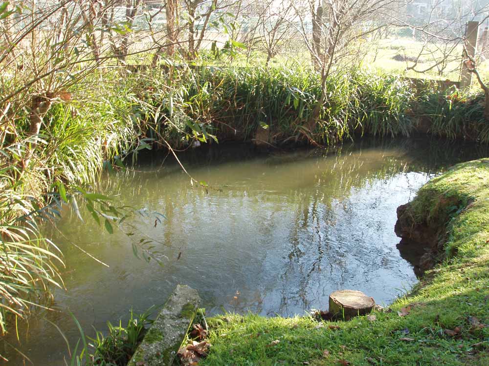Foto de Santa Cruz (A Coruña), España