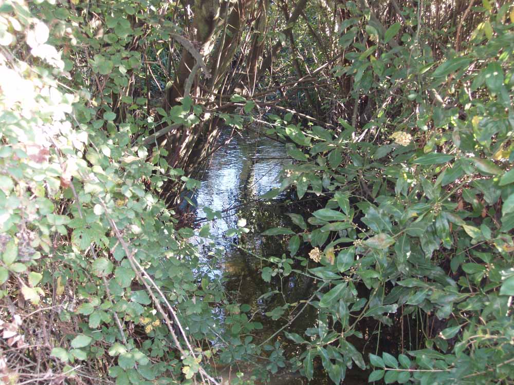 Foto de Santa Cruz - Oleiros (A Coruña), España