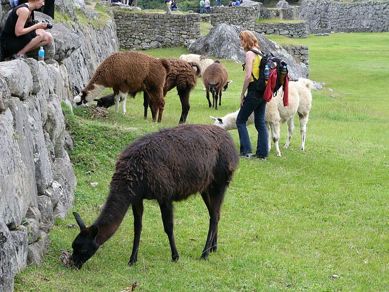 Foto de cusco, Perú