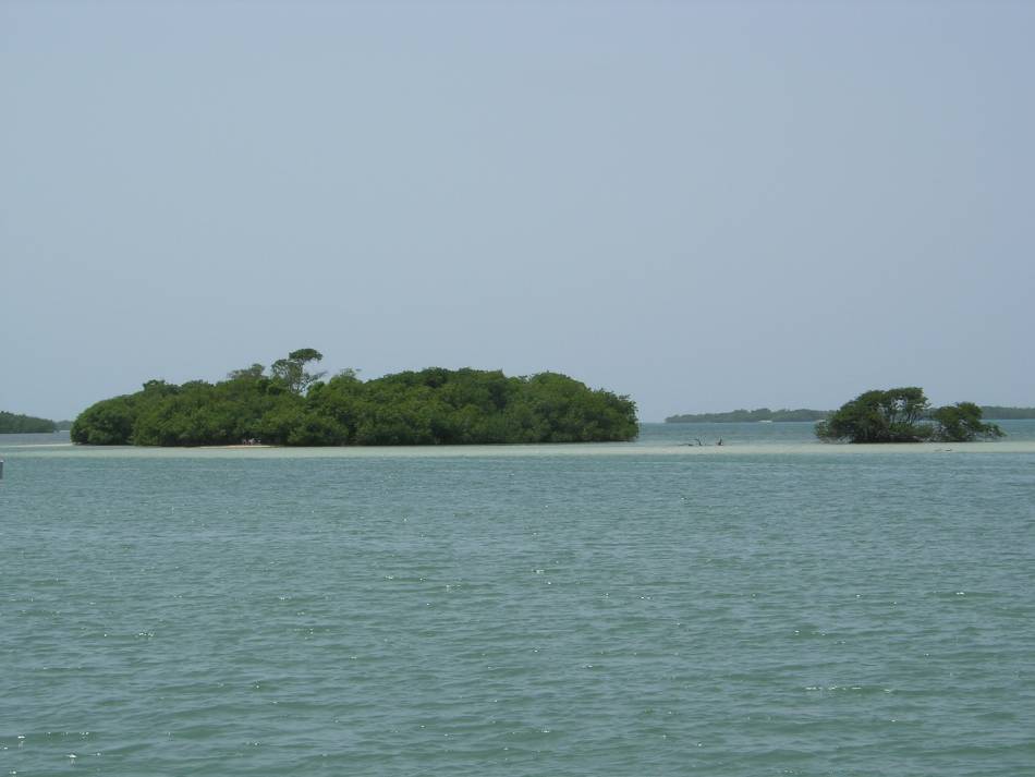 Foto de Salinas, Puerto Rico