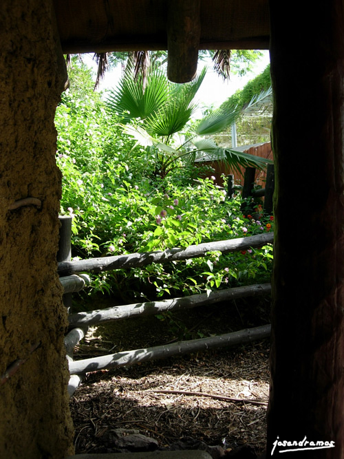 Foto de Sevilla (Andalucía), España