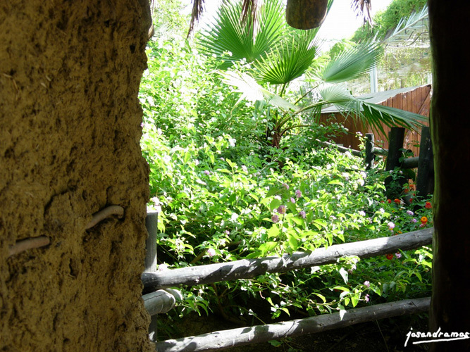 Foto de Sevilla (Andalucía), España