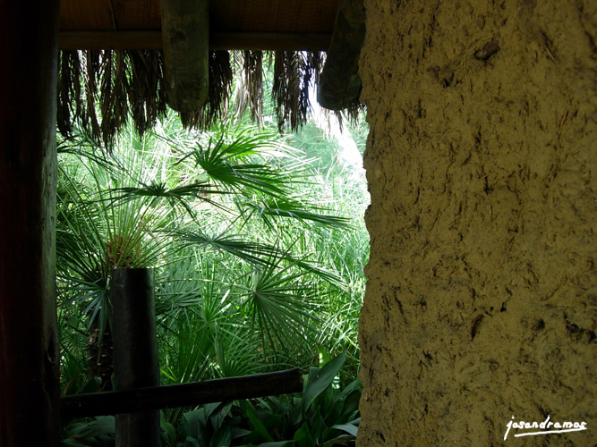 Foto de Sevilla (Andalucía), España