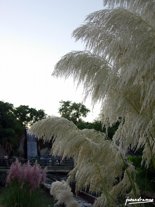 Foto de Sevilla (Andalucía), España