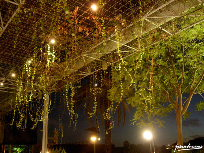 Foto de Sevilla (Andalucía), España