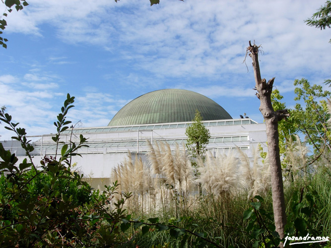 Foto de Sevilla (Andalucía), España
