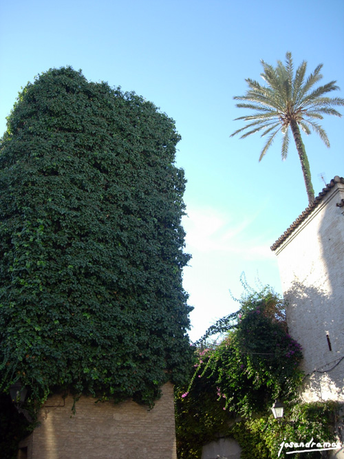 Foto de Sevilla (Andalucía), España